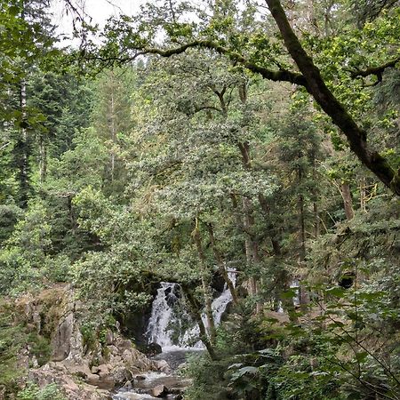 Le Petit Counehet Cornimont Dış mekan fotoğraf